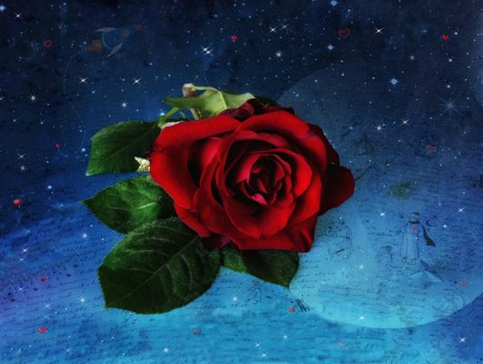 Lieblingsbücher: "Der kleine Prinz"