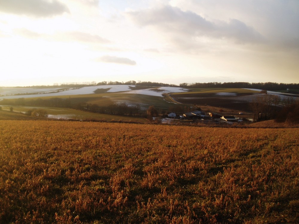 Lieblingsfeld mit dem letzten schnee