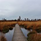 Lieblingsholzweg im Herbst