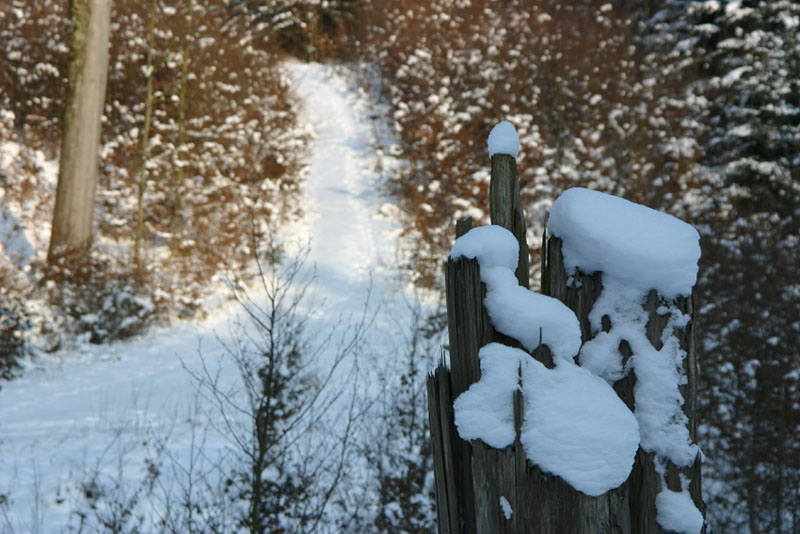 Lieblingsmotiv mit Schnee