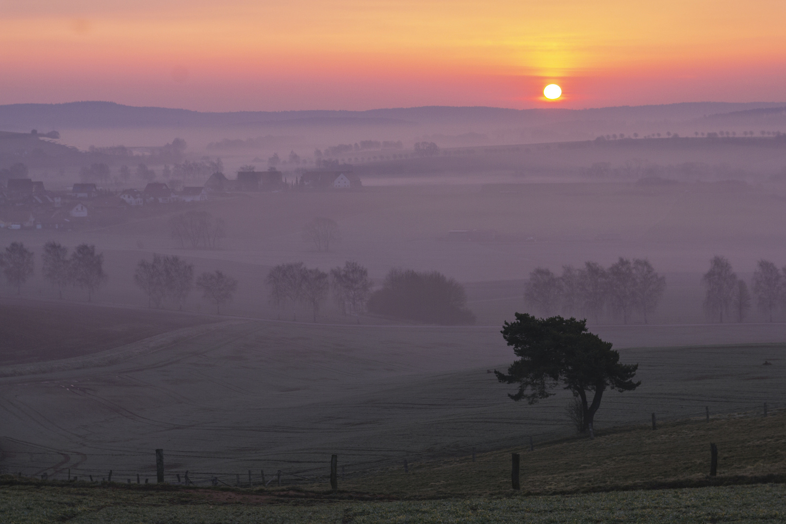 Lieblingsort - morgens im März