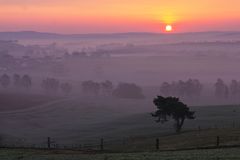 Lieblingsort - morgens im März