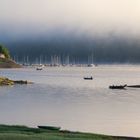 Lieblingsorte - morgens am Edersee - der Nebel geht