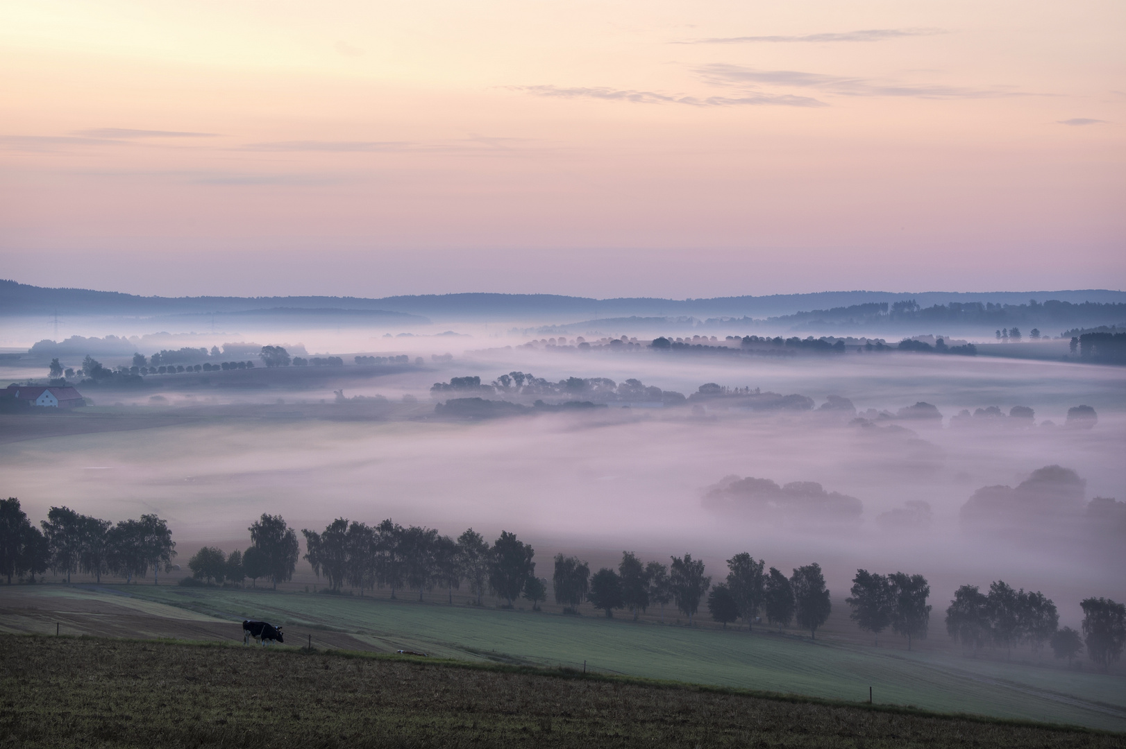 Lieblingsorte - morgens im Nebelland