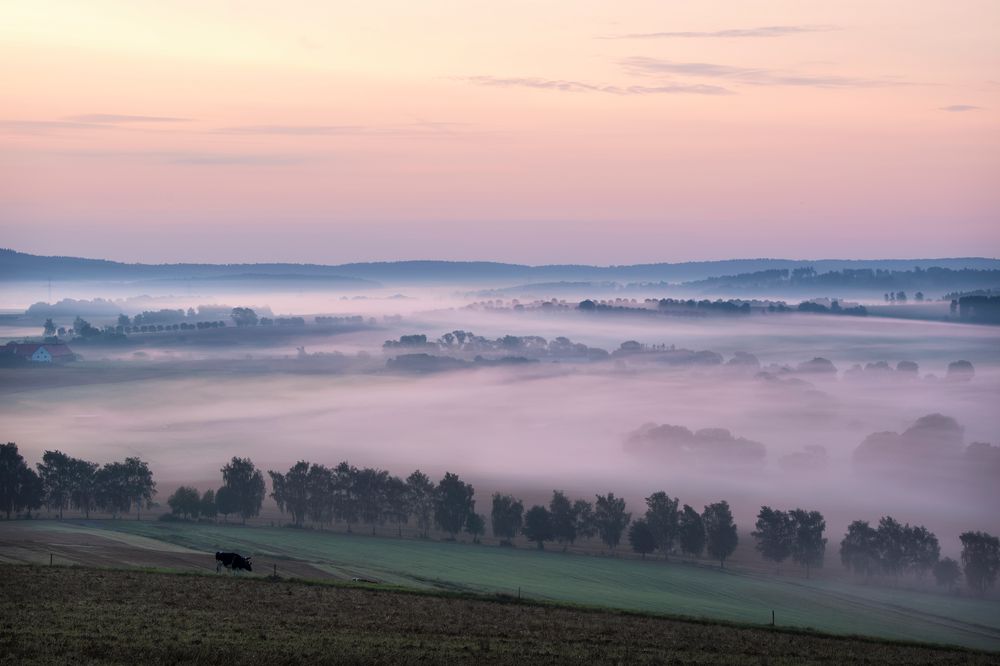 Lieblingsorte - morgens im Nebelland