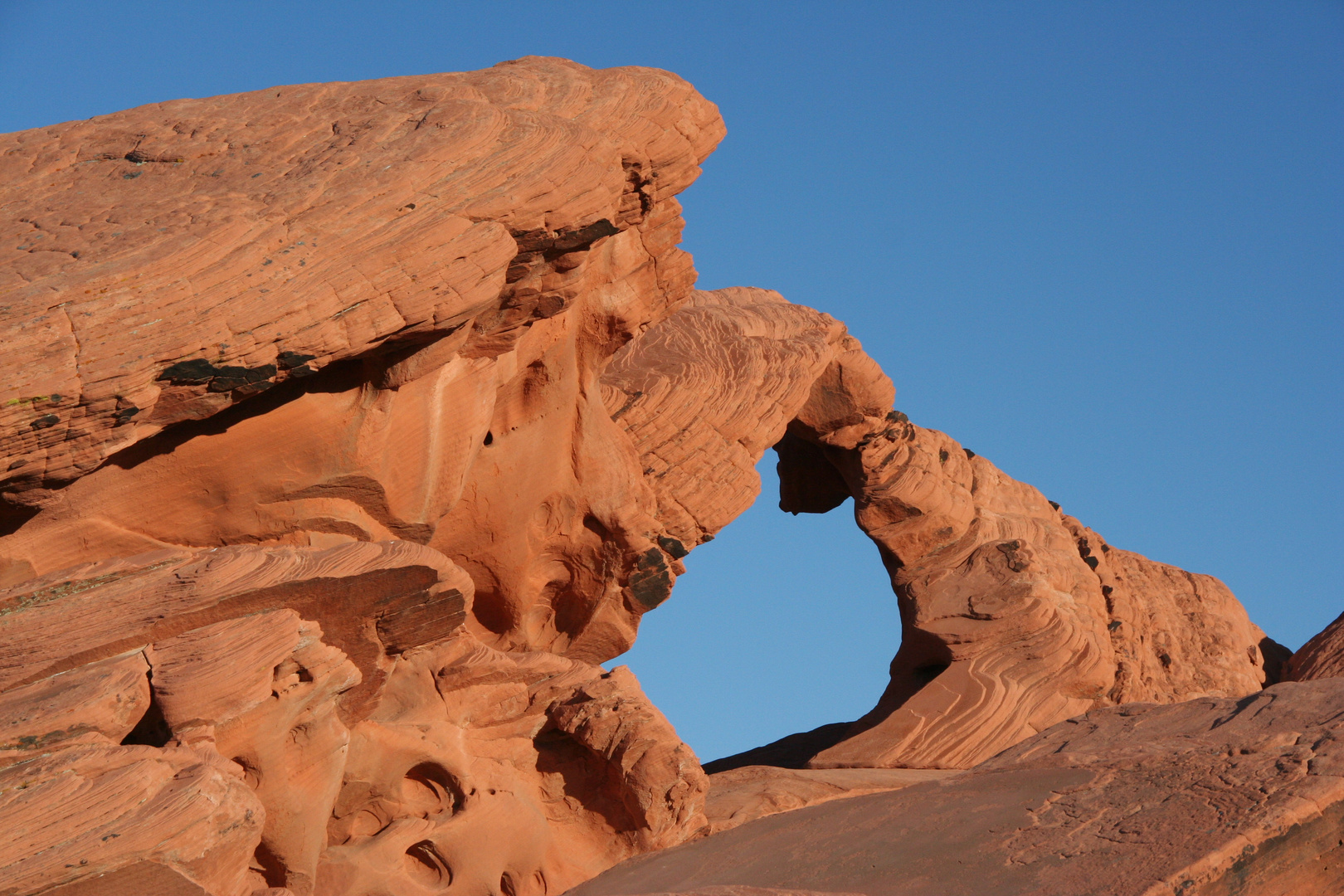 Lieblingsorte: Valley Of Fire