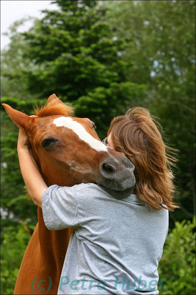 Lieblingspferd Foto & Bild | tiere, tier und mensch, pferde Bilder auf