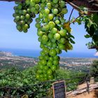 Lieblingsplätze : Pigna (Korsika)