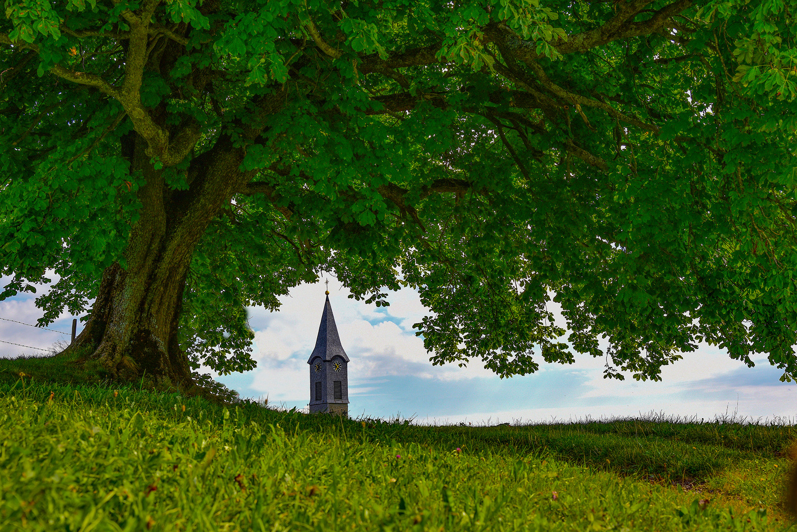 Lieblingsplatz im Allgäu