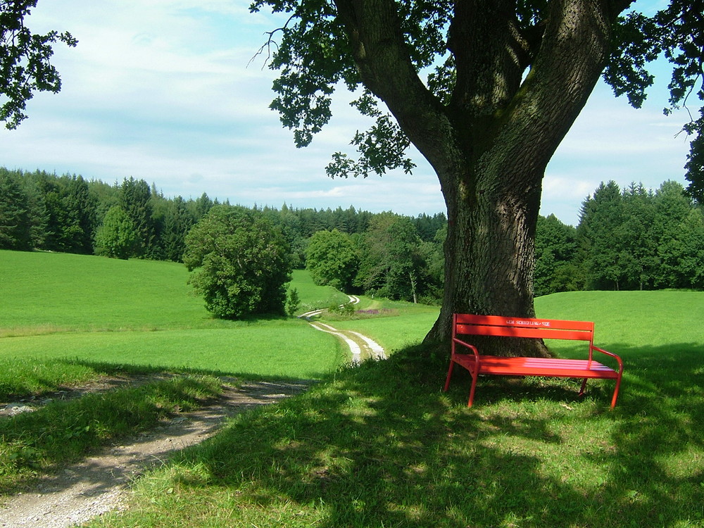 Lieblingsplatz in Kärnten