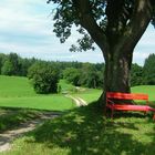 Lieblingsplatz in Kärnten