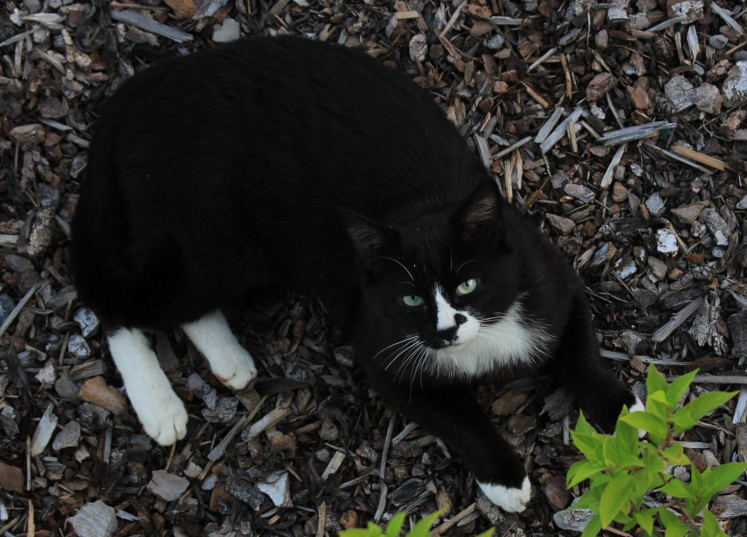 Lieblingsplatz: Warmer Rindenmulch