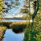 Lieblingssee in Brandenburg