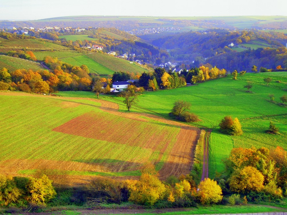 Lieblingsspaziergang im Herbst