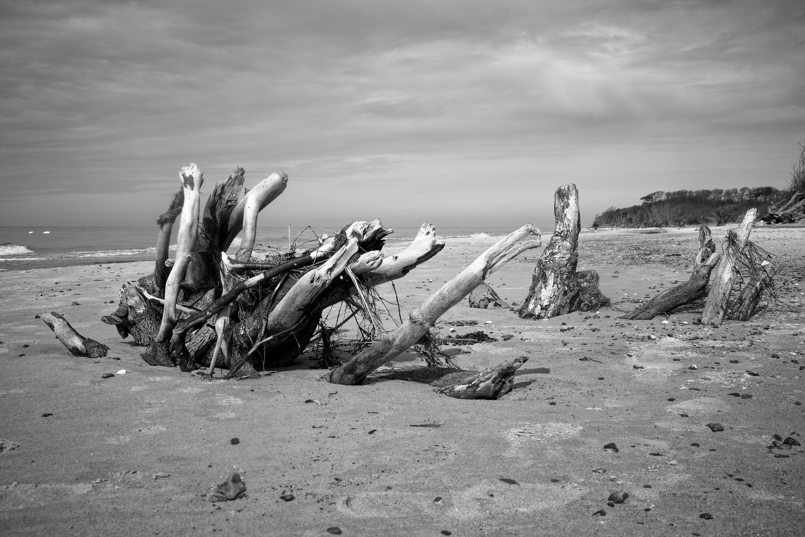 Lieblingsstrand - Natur pur