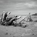 Lieblingsstrand - Natur pur