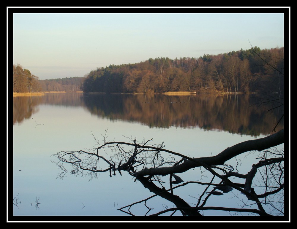 Liebnitzsee