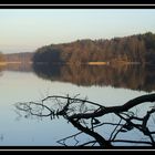 Liebnitzsee