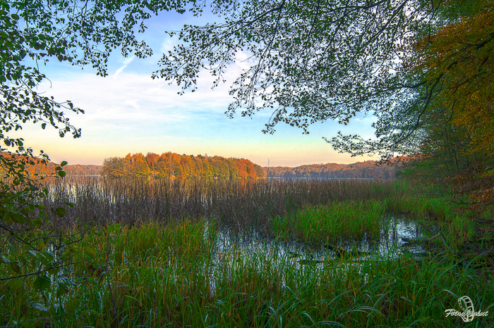 Liebnitzsee III