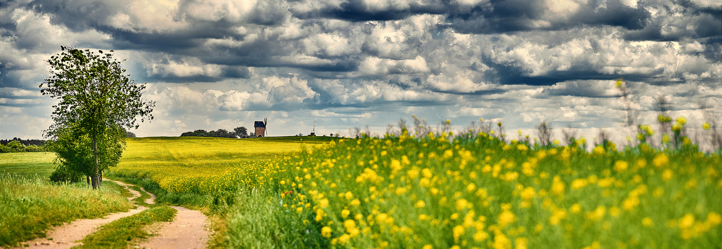 Liebschützberg mit Pilgerweg