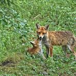 "Liebste Mamma"!