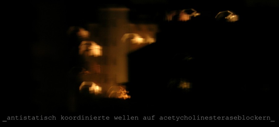 _lied der synapsen_