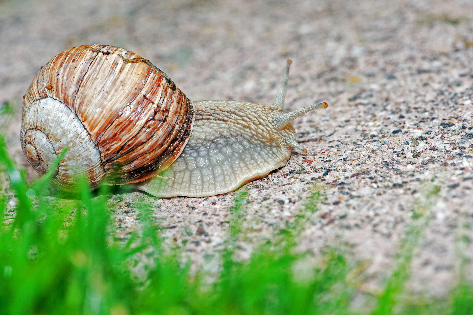 ...lief mir heute früh über den Weg :-)