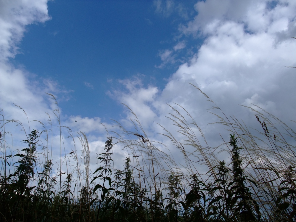 Lieg im Gras und erzähl mir was