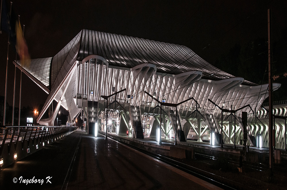 Liége - Bahnhof Giullemins - Seiteneingang bei Nacht