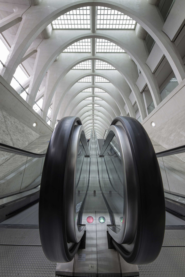 Liège | Bahnhof Liège-Guillemins I