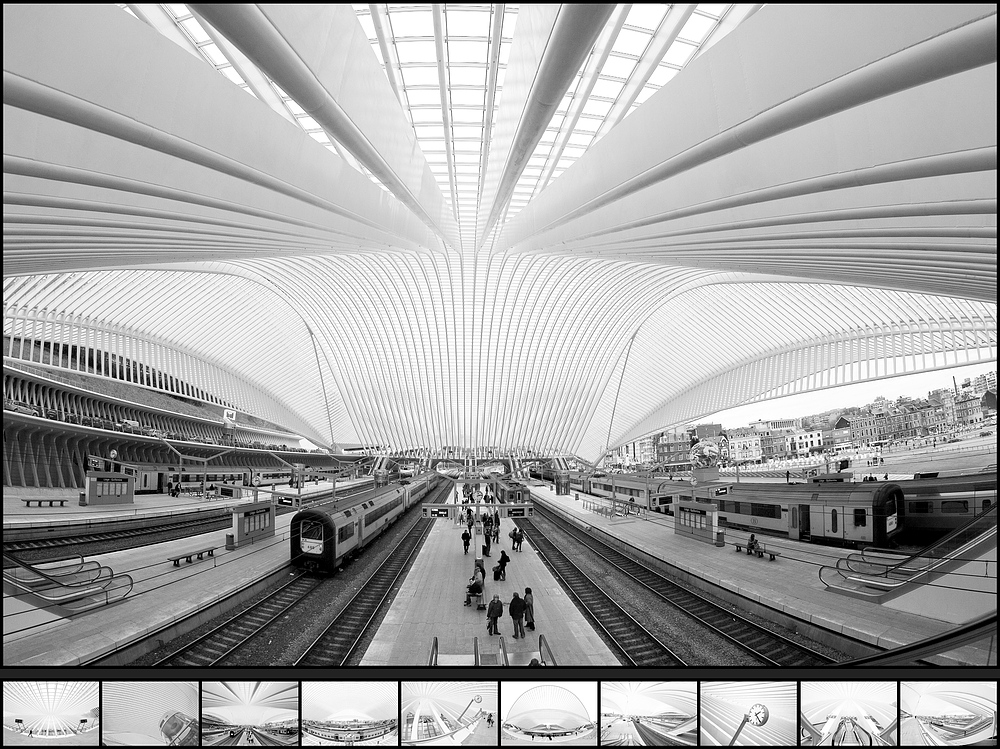 Liège - Calatrava (III/X)