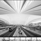 Liège - Calatrava (III/X)