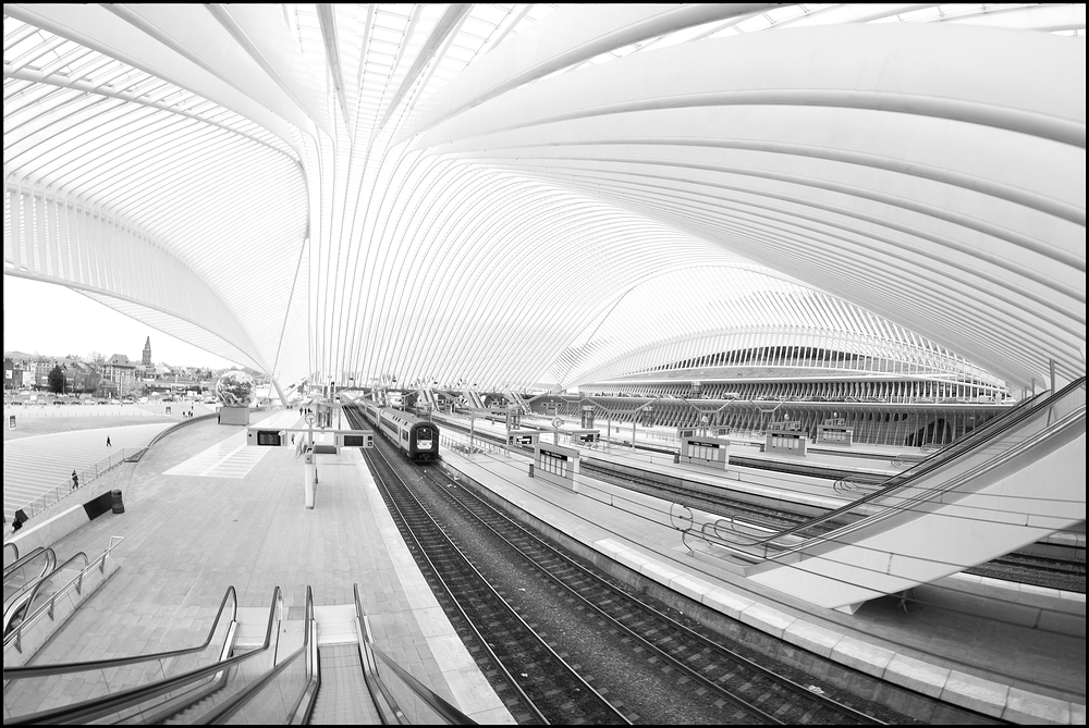 Liège - Calatrava (VII/X)