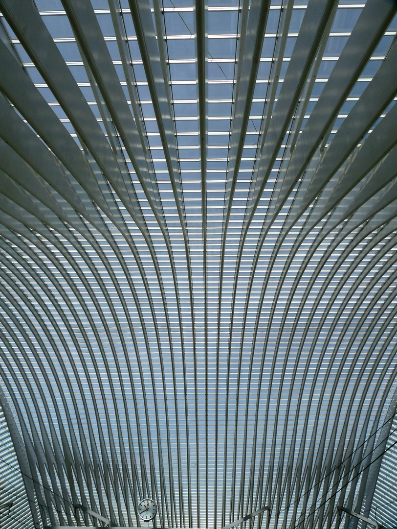 LIEGE, GARE DES GUILLEMINS - LE TOIT