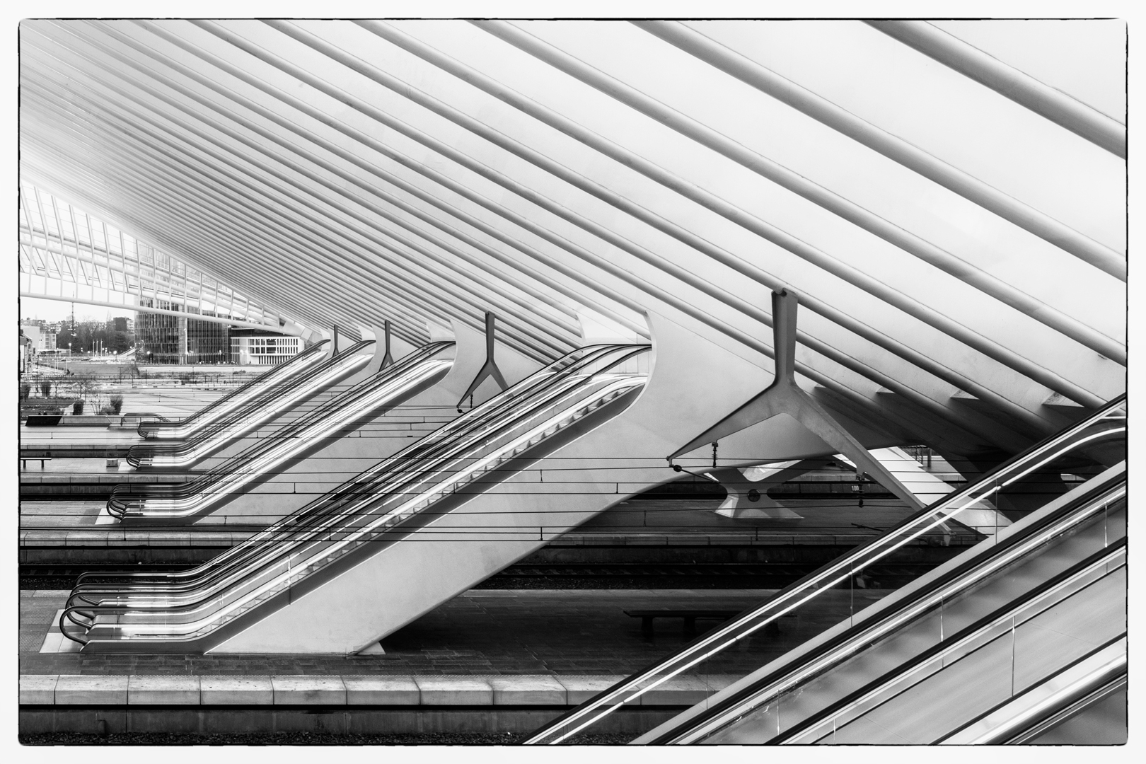 Liège Gare Guillemins #10