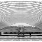 Liège Gare Guillemins #4