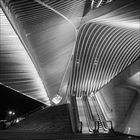 Liège Gare Guillemins #9