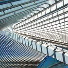 Liège-Guillemins 1