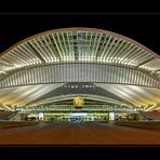 Liège-Guillemins 1