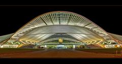 Liège-Guillemins 1