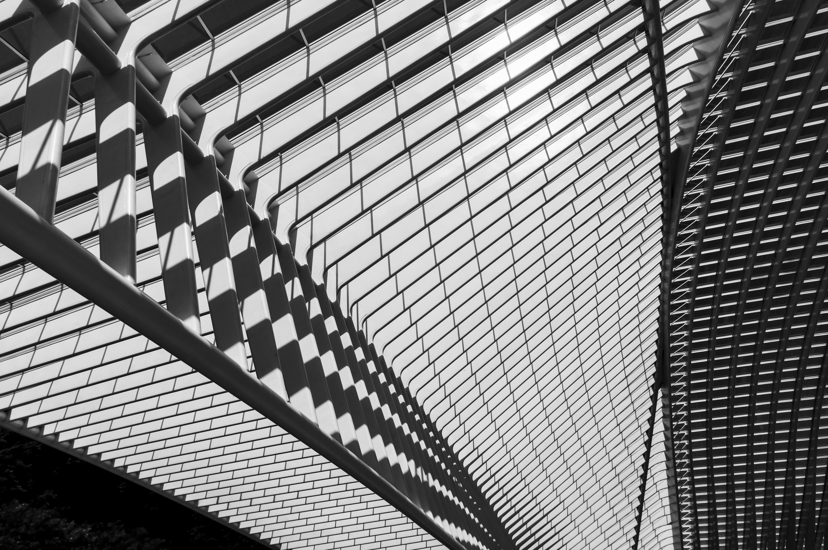 Liege Guillemins 18