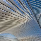 Liège-Guillemins 2