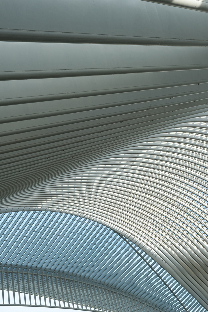 Liège-Guillemins-3