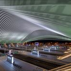 Liège Guillemins ...