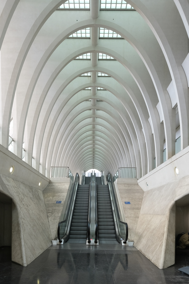 Liège-Guillemins