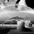 Liège Guillemins