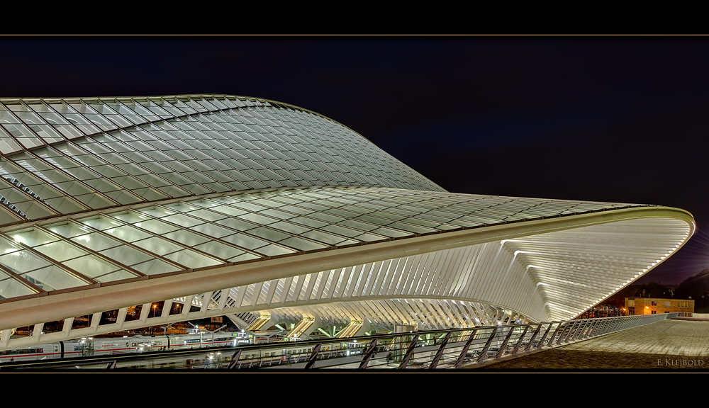 Liège-Guillemins 5