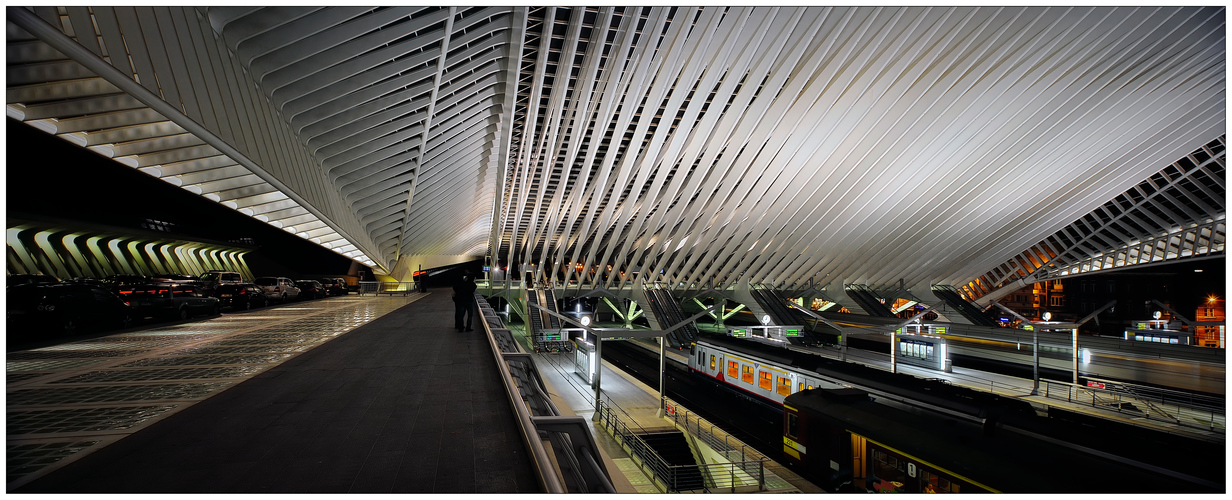 Liège-Guillemins