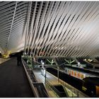 Liège-Guillemins