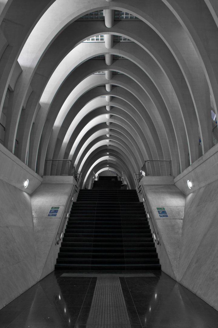 Liège-Guillemins